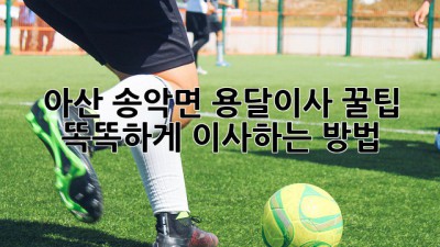 아산 송악면 용달이사 꿀팁🍯: 똑똑하게 이사하는 방법!