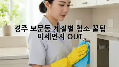 경주 보문동🏡 계절별 청소 꿀팁! ✨미세먼지 OUT!💨