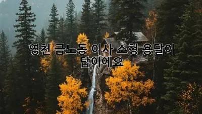 영천 금노동 이사? 소형 용달이 답이에요!